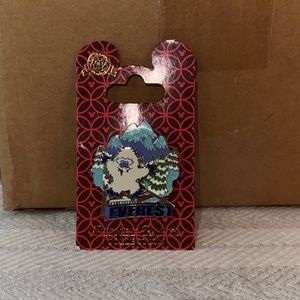 Expedition Everest Pin